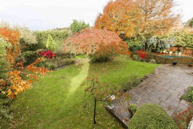 better garden
